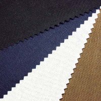Ramie and Viscose Fabric (For hangbag lining)
