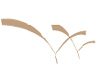 Victoria View International Limited
