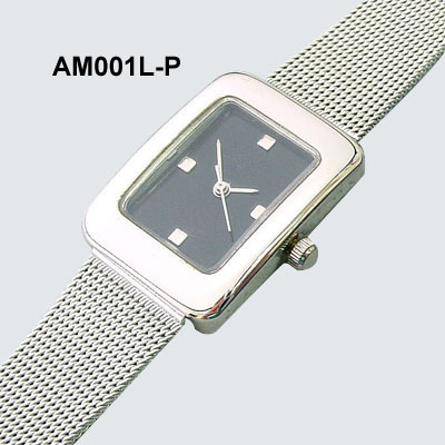 Alloy Case with Mesh Band