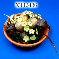 10 inches Easter Decoration - Ceramic Basket with Egg