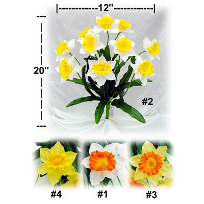 DAFFODIL BUSH X 10