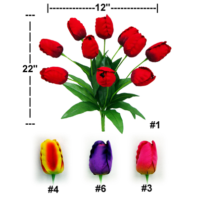 TULIP BUSH X 10