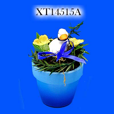 Duck & Primula W/Clay Pot