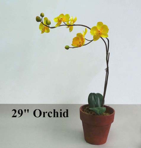 29inch Orchid