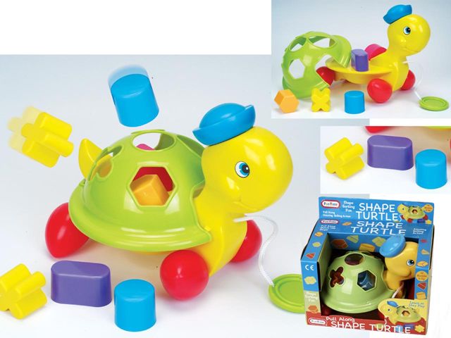 Shape Turtle