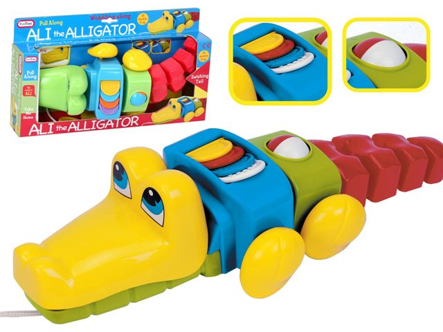 Ali The Alligator