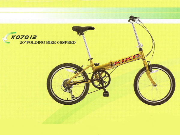 Folding Bike