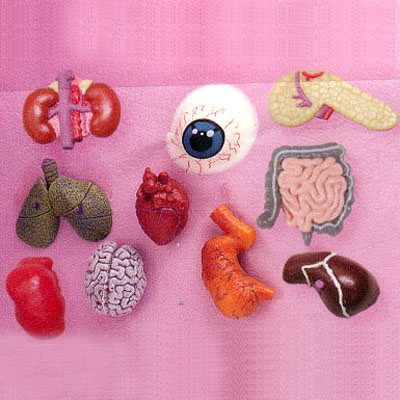 Internal Organ Splatters