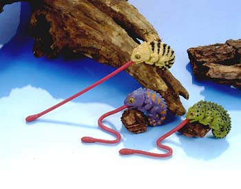 Chameleon with Sticky Tongue