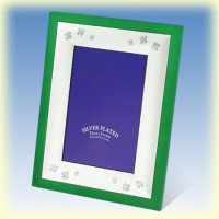 Sell Metal Wooden Frame - Green Color