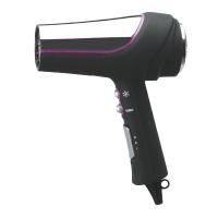2000W Professional Hair Dryer