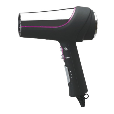 2000W Professional Hair Dryer
