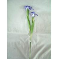29 inchesH IRIS SPRAY