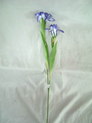 29 inchesH IRIS SPRAY