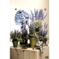 Home Decoration