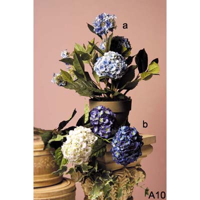 Home Decoration