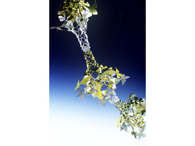 Christmas (Ceiling & Garland)