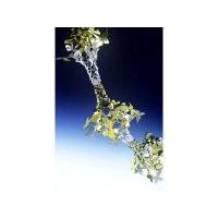 Sell Christmas (Ceiling & Garland)