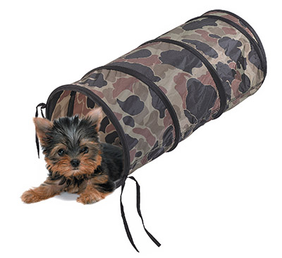 Pet Tunnel
