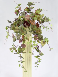 41 inchesGrape-Vine W/8 Brh. & 230 Fros.Lvs