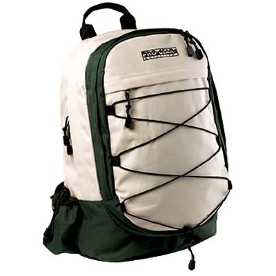 Computer Back Pack
Size 13-1/2 x 8.75 x 17 inches