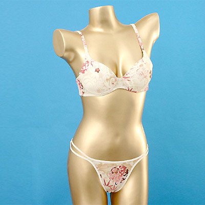 Brassiere Set