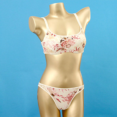 Brassiere Set