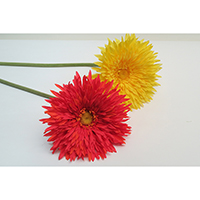 Gerbera Spray Single