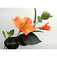 Hibiscus Spray