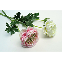Ranunculus Spray