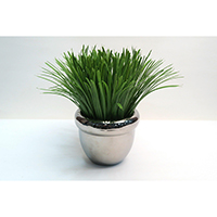 Grass on Silver Pot