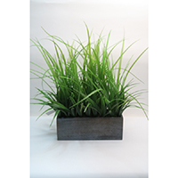 Mixed Grass on Wooden Pot