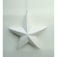 Hanging Star Ornament