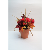 Autumn Potted Flower