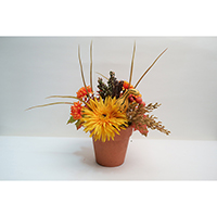 Autumn Potted Flower