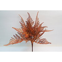 Fern Pick