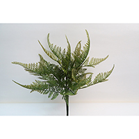 Fern Pick
