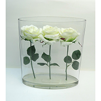 Rose in Glass Vase