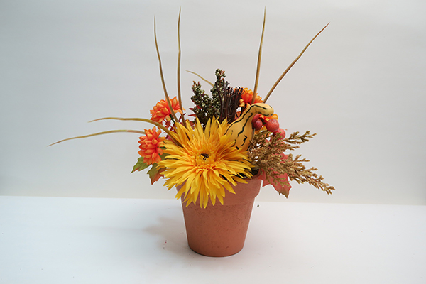 Autumn Potted Flower