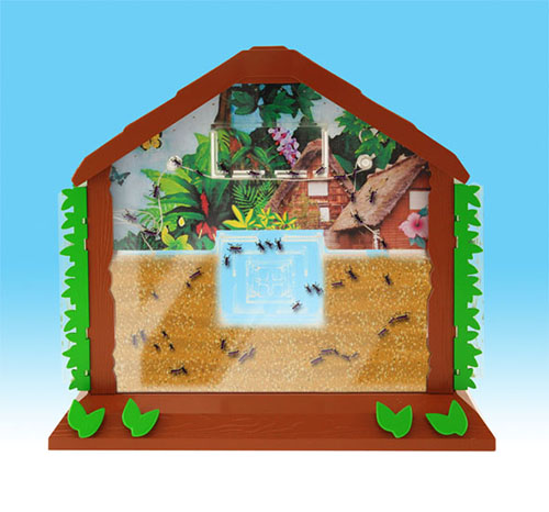 Ant Village