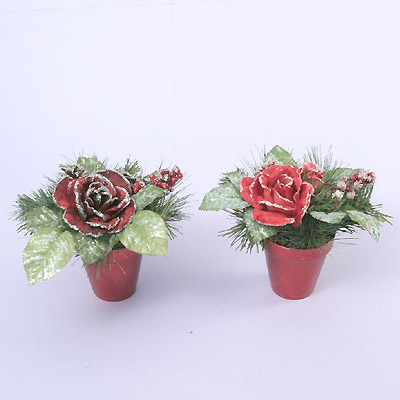 22cm H rose bush w/ceramic pot