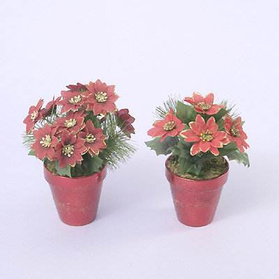 22cm H small poinsettia bush w/ceramic pot