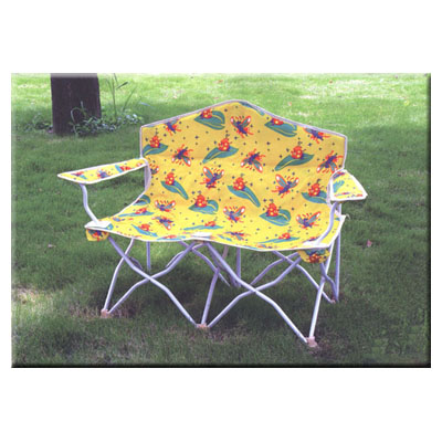 Camping Chair.