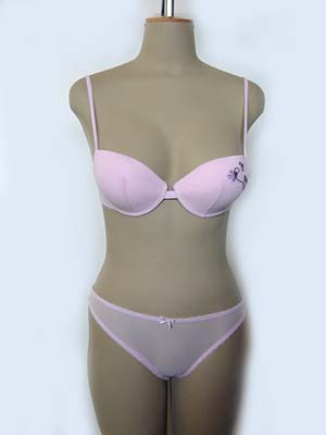 Brassieres and Briefs