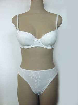 Brassieres and Briefs