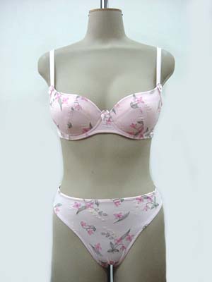 Brassieres and Briefs