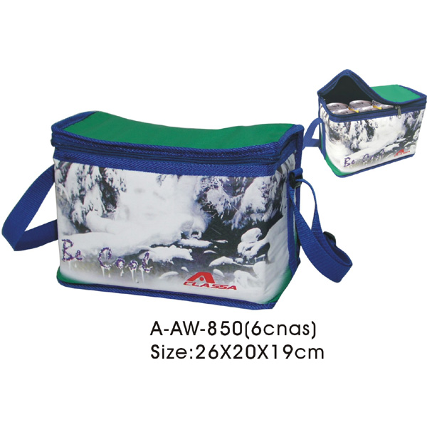 Cooler Bag