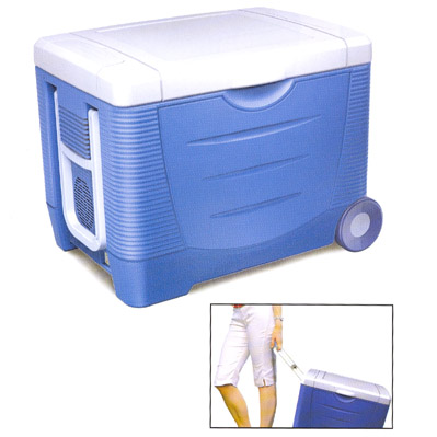 Sell Thermoelectric Cooler & Warmer