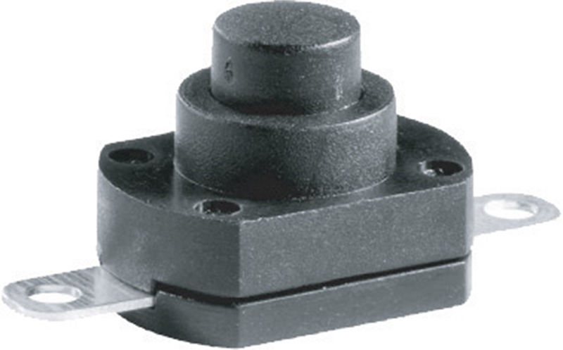 Push Switch
