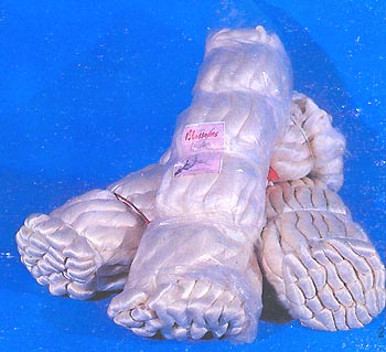 Raw Silk & Silk Yarn